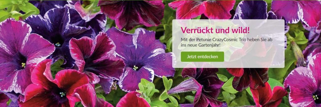 PolarNews Expeditionskreuzfahrten